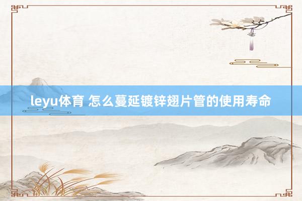 leyu体育 怎么蔓延镀锌翅片管的使用寿命