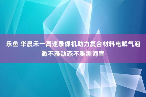乐鱼 华晨禾一高速录像机助力复合材料电解气泡微不雅动态不雅测询查
