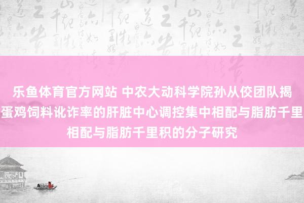 乐鱼体育官方网站 中农大动科学院孙从佼团队揭示延迟产蛋期蛋鸡饲料讹诈率的肝脏中心调控集中相配与脂肪千里积的分子研究