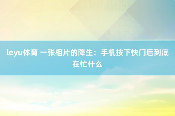 leyu体育 一张相片的降生：手机按下快门后到底在忙什么