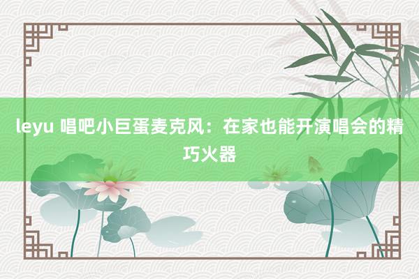 leyu 唱吧小巨蛋麦克风：在家也能开演唱会的精巧火器