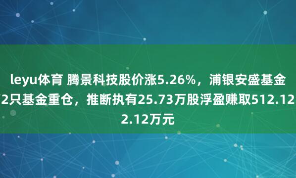 leyu体育 腾景科技股价涨5.26%，浦银安盛基金旗下2只基金重仓，推断执有25.73万股浮盈赚取512.12万元