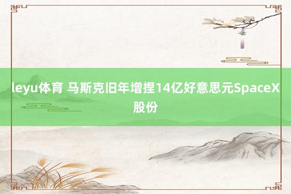 leyu体育 马斯克旧年增捏14亿好意思元SpaceX股份