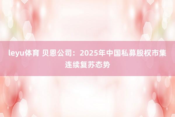 leyu体育 贝恩公司：2025年中国私募股权市集连续复苏态势