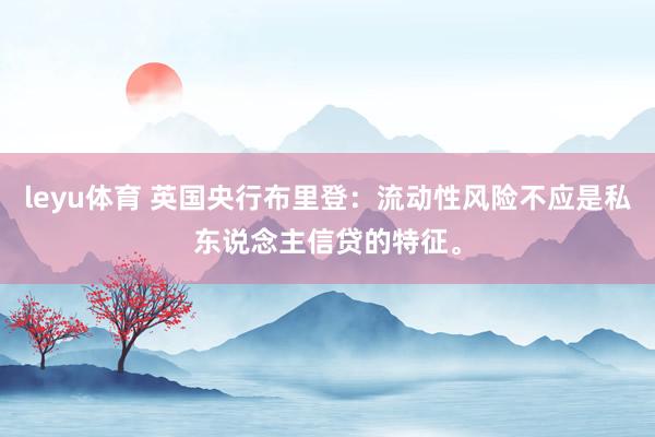 leyu体育 英国央行布里登：流动性风险不应是私东说念主信贷的特征。