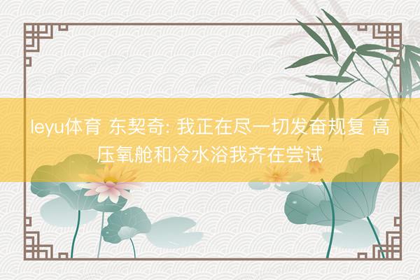 leyu体育 东契奇: 我正在尽一切发奋规复 高压氧舱和冷水浴我齐在尝试