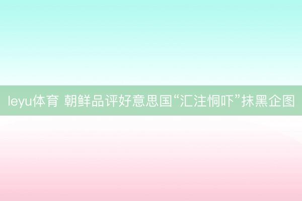 leyu体育 朝鲜品评好意思国“汇注恫吓”抹黑企图